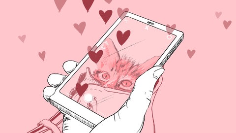 Tiere in Film und Fernsehen bedienen menschliche Sehnsüchte und Ängste. Was macht tierische Stars, von King Kong bis zum Katzenvideo, so faszinierend?