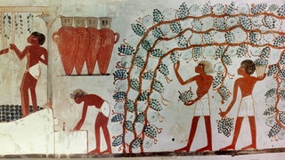 Das Gemälde aus dem Grab des Nacht in Ägypten zeigt das Sammeln von Trauben aus einer Laube, das Treten der Trauben und die Lagerung des Weins in Hars, etwa 1421 - 1413 v. Chr. Die ersten Hinweise auf Bier und Wein reichen mehr als 10.000 Jahre zurück und führen bis an die Anfänge menschlicher Zivilisation. Die alkoholischen Getränke waren beliebte, weil haltbare und nahrhafte Lebensmittel. 