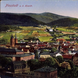 Neustadt an der Weinstraße, Gesamtansicht der Ortschaft