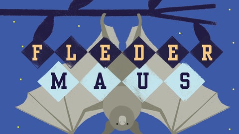 Charlotte Milner: Fledermaus (Buchcover)