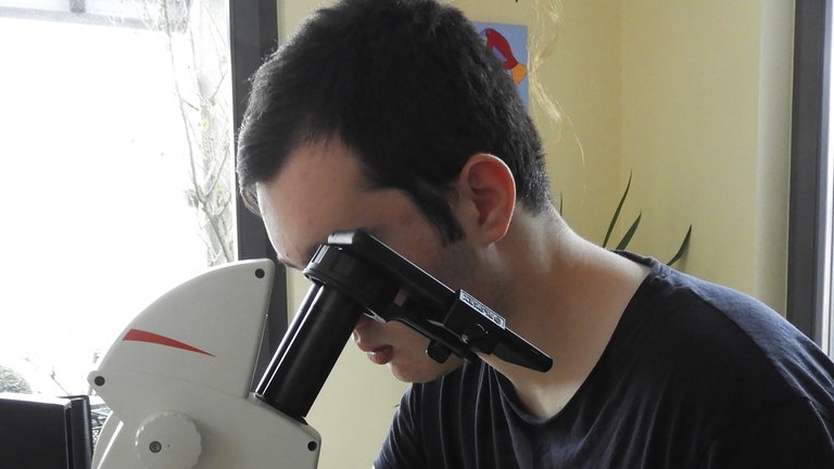 Analyse der Fledermaushaare: Für seine Forschung hat Julian Kehm das Stadtgebiet von Lörrach systematisch untersucht und etwa anhand von Fledermaushaaren unter dem Mikroskop verschiedene Arten bestimmt