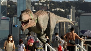 Die künstliche Nachbildung eines T-Rex
