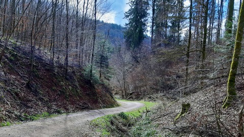 Badische Revolution 1848: Am 20. April 1848 trifft auf der Scheideck, einer Passhöhe oberhalb von Kandern,  Heckers Haufen auf Soldaten des Deutschen Bundes. Deren Kommandeur ist Friedrich von Gagern, Bruder des Mannes, der im Frankfurter Vorparlament Heckers politisches Debakel organisiert hat. Hecker und Gagern fordern gegenseitig Rückzug und Kapitulation. Es fallen Schüsse, es gibt Verwundete und Tote, darunter Gagern. Hecker flieht. Hier ein Weg auf der Scheideck, den die Kombattanten hinaufgelaufen sein müssten.