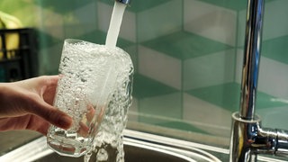 Sauberes Trinkwasser fließt aus einem Wasserhahn in ein Glas: Deutschland ist ein nasses Land, gesegnet mit ausreichenden Niederschlägen und Zuflüssen aus Nachbarländern. Doch das Wasser ist ungleich verteilt und ein Drittel des Grundwassers ist in einem schlechten chemischen Zustand. Mit einer "Nationalen Wasserstrategie" will die Bundesregierung dafür sorgen, dass auch in Zukunft überall in Deutschland sauberes Wasser aus dem Hahn kommt.