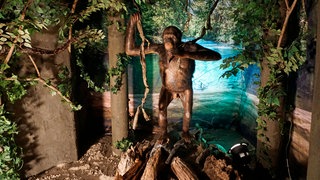 01.11.2019, Sonderausstellung in Pforzen im Unterallgäu vom Urmenschen Udo