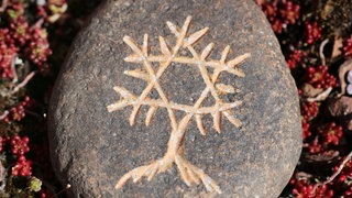 Davidstern in Form eines Baumes, der in einen Kieselstein geritzt ist. Die Äste und Zweige bilden den Stern: In der Nacht vom 9. zum 10. November 1938, begann mit der Reichspogromnacht die offene, systematische Judenverfolgung. Das Gedenken daran fiel den Deutschen lange schwer. 