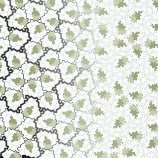 A chiral aperiodic monotile: David Smith, Joseph Samuel Myers, Craig S. Kaplan, and Chaim Goodman-Strauss, 2023