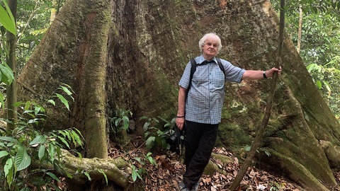 Peter Jaeggi vor Meranti-Baum