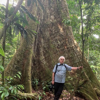Peter Jaeggi vor Meranti-Baum