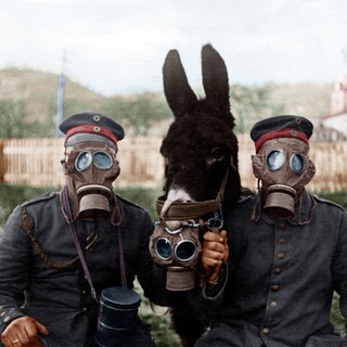 Deutsche Soldaten und ein Maultier mit Gasmasken 1917 während des Ersten Weltkriegs an der Westfront: Deutsche Truppen setzten 1915 Chlorgas ein, das bis in die französischen Schützengräben wehte und unzählige Opfer forderte. Es war der Beginn eines chemischen Wettrüstens mit Sarin, VX, Nowitschok. 