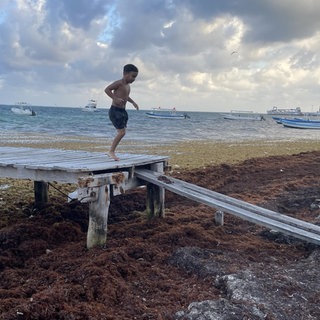 Ein Junge hüpft in Puerto Morelos  Mexiko über einen Steg vom Bootsanleger über den von Algen bedeckten Strand