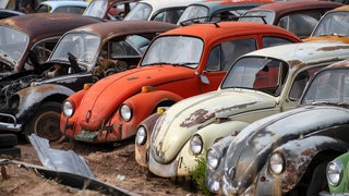 Ausrangierte rostige VW-Käfer auf einem Schrottplatz: Der technische Fortschritt hat sich rasant entwickelt. Doch um Neues einzuführen, muss Altes aufgegeben werden. Erstmals werden Strategien entwickelt, wie das gut gelingt. 