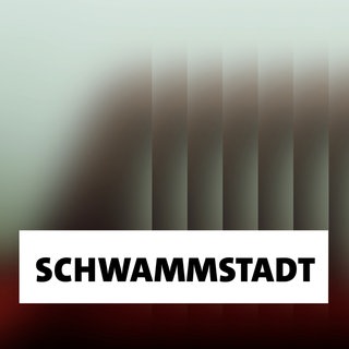 Wort der Woche: Schwammstadt
