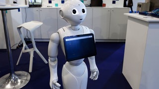 Pepper, ein humanoider Roboter 