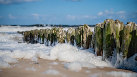Giftiger Schaum an der Nord- und Ostsee sorgt aktuell für Aufsehen. Unter anderem besteht er aus PFAS.