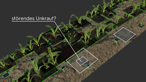 Welche Pflanze ist ein störendes Unkraut auf dem Acker? Die Daten, die von Drohnen und am Boden gesammelt werden, müssen nachträglich aufbereitet werden. Das dauert aktuell noch zu lange für den realen Einsatz von Künstlicher Intelligenz in der Landwirtschaft.