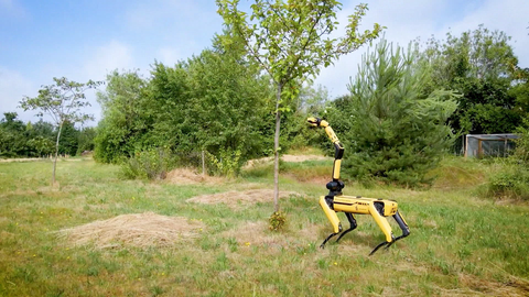 Mit Künstlicher Intelligenz in die Landwirtschaft der Zukunft: KI-Roboter sollen auf dem Acker und in der Obstplantage die Arbeiten erledigen, die für Menschen zu viel sind.  