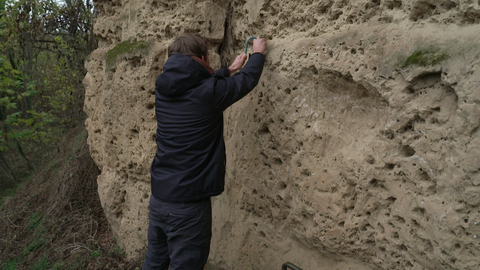 Die Ausscheidungen von Regenwürmern aus der Eiszeit geben Aufschluss über das damalige Klima.