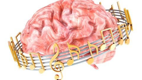 Unser Gehirn speichert Musik vereinfacht ab. Doch bei einem absoluten Gehör werden musikalische Erinnerungen genauer und detailreicher kodiert. Vielleicht treffen viele Menschen beim Nachsingen von Ohrwürmern die Töne deshalb so exakt. Symbolbbild: Gehirn mit Musiknoten