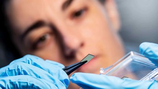 Mit Licht Rechnen - Das Unternehmen Quant aus Stuttgart stellt Chips her, die mit Photonen rechnen