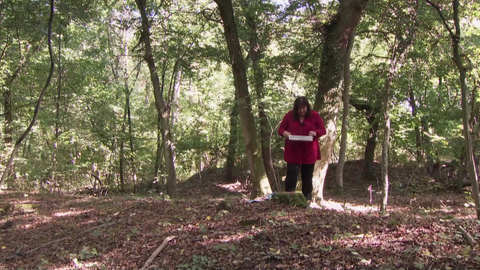 Frau Foitzik im Wald.