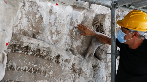 Kalkbildende Bakterien werden bereits bei Restaurationen eingesetzt und sollen auch für die automatische Sanierung von Rissen gezüchtet werden.