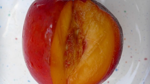 Wer sich den Aufbau des Mars vor Augen führen möchte, der greife ins Obstregal. Eine Nektarine zeigt eine ähnliche Segmentierung wie der Rote Planet. Der Nektarinenkern müsste aber fast doppelt so groß sein, um die Verhältnisse im Marsinnern maßstabsgetreu wiederzugeben.