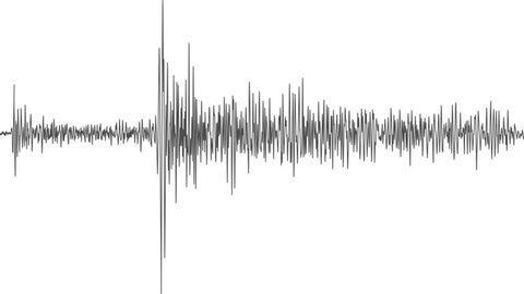 Seismogramm eines Marsbebens, das der InSight-Lander der NASA am 25. Juli 2019 aufgenommen hatte.
