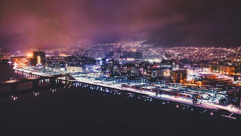 Motten und viele andere Insekten fühlen sich von Licht magisch angezogen. 