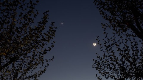Mond und Venus am Abendhimmel