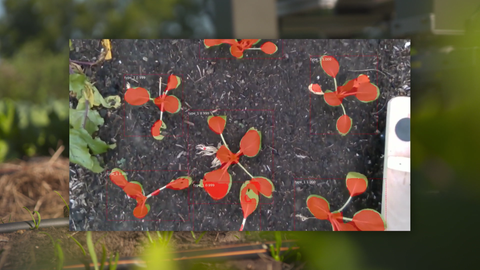 Dem Roboter muss mittels KI erst beigebracht werden, bestimmte Muster zu erkennen. 