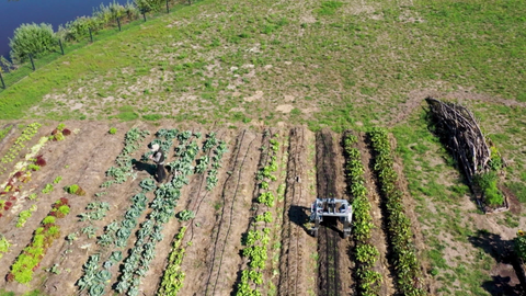 Wenn sich Betriebe vernetzen, könnte rechtzeitig vor drohendem Schädlingsbefall gewarnt werden.