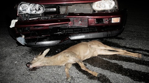 Rund alle 90 Sekunden stirbt ein Wildtier auf deutschen Straßen. Allerdings werden in Deutschland beileibe nicht alle Wildunfälle statistisch erfasst. Es gibt eine hohe Dunkelziffer bei den Tieren, die auf deutschen Straßen den Tod finden.