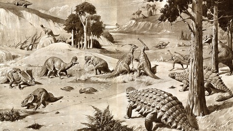 Illustration von unterschiedlichen Dinosauriern