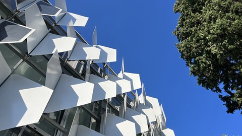 Beschattungssystem FlectoLine mit geöffneten Klappen an Hausfassade. Ein weiteres Beispiel für Bionik – Technik mit dem Vorbild Natur – ist das Beschattungssystem FlectoLine in Freiburg. Die große Klappen werden durch Druckluft und einen Computer gesteuert.