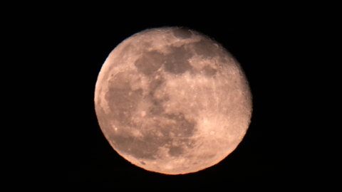 Der Wolfsmond ist der erste Vollmond des Jahres. 