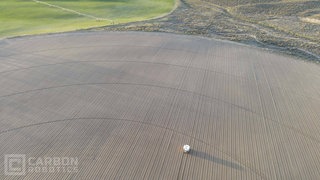 Der autonome Weeder nutzt Robotik, künstliche Intelligenz (KI) und Lasertechnologie, um sicher und effektiv durch Feldfrüchte zu fahren, Unkräuter zu identifizieren und zu beseitigen. Der autonome Roboter wurde von Carbon Robotics, einem Unternehmen für autonome Robotik, vorgestellt. 