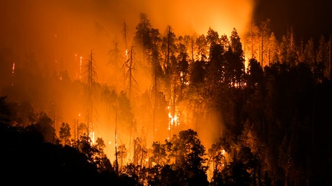Waldbrand in Kalifornien  USA: Der Klimawandel verändert aber die Verteilung von Niederschlägen. Er führt dazu, dass wir im Schnitt häufigere, teilweise lokale Starkregen haben, dazwischen aber längere Dürreperioden. Das ist der eigentliche Faktor, der dazu führen könnte, dass bei steigenden globalen Temperaturen das Waldbrandrisiko steigt.