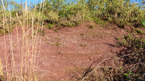 Rotliegend in Rheinland-Pfalz: Diese roten Ablagerungen sind 250 bis 300 Millionen Jahre alt