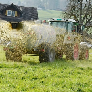 Traktor mit Jaucheanhänger sprüht ein Feld: Volkswirtschaftlich wäre es sinnvoll, Gülle in Biogasanlagen zu fahren und Biogas zu gewinnen. Allerdings werden die meisten Biogasanlagen mit Mais betrieben. Der bringt eine höhere Ausbeute an Gas.