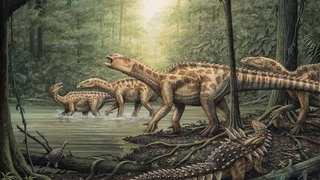 Sauropoden im Wald (Grafik)