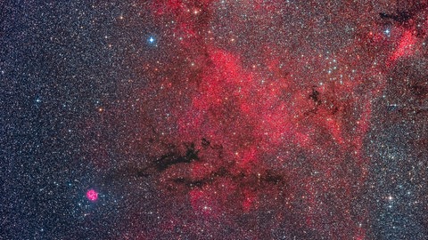 Mehrere Arten von Deep-Sky-Objekten sind hier vertreten: ein Emissionsnebel, dunkle Nebel und Sternhaufen in diesem reichen Feld in Cygnus. 