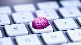 Künstliche Intelligenzen wie ChatGPT lösen Hausaufgaben und können sogar Abiturprüfungen bestehen. Im Alltag nehmen sie uns Arbeit ab. Aber ist das gut für uns? Was macht das mit unserem Gehirn?