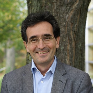 Prof. Dr. Roman Huber ist Internist und Gastroenterologe. Seit 1998 leitet er das Uni-Zentrum Naturheilkunde an der Uniklinik Freiburg