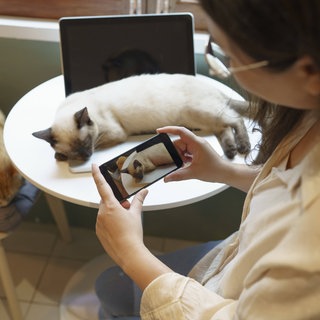 Eine Frau fotografiert eine Katze