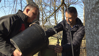 Der Chef vom Affenberg Roland Hilgartner arbeitet im Tierpark.