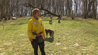 Rangerin Dominique Leute füttert Affen im Tierpark Affenberg.