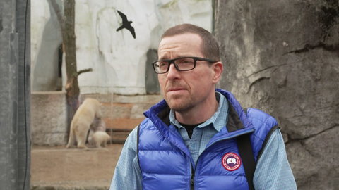 Baby Eisbär Mika mit Mama