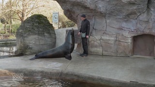 Karlsruher Zoo-Docs im Einsatz