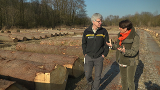 Sonja Faber-Schrecklein im Schwäbischen Wald